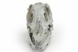 Carved Labradorite Dinosaur Skull - Roar! #218505-3